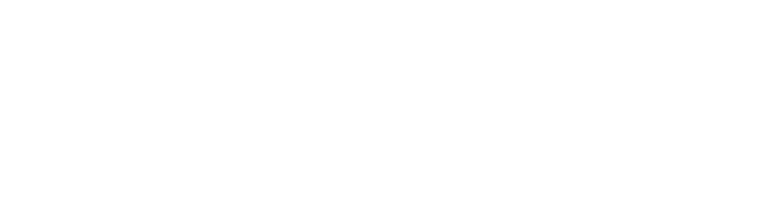Ozwem PTY LTD